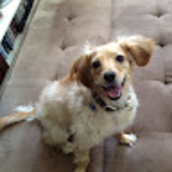 Meet your Posher, Jenny - Picture 1 of 1